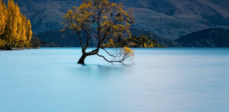 kuno-schweizer-UpR6FBeVvto-unsplash