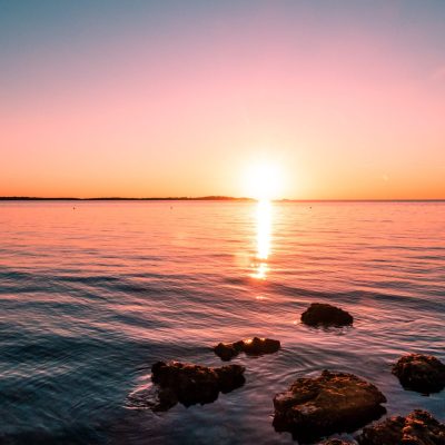 pexels-david-boca-2261500